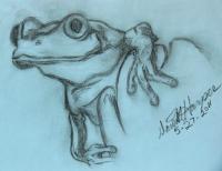 Wild Life - Ready To Leap - Pencil  Paper